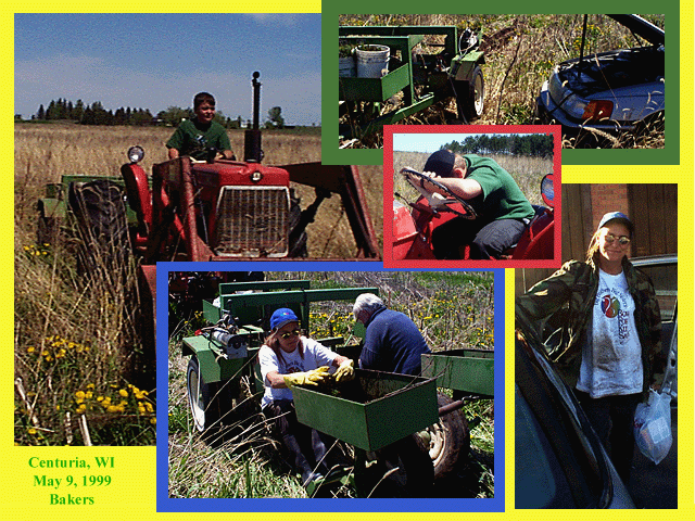 Planting 1999